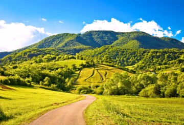 Plesivica