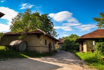 Rajacke-pimnice-srbija2