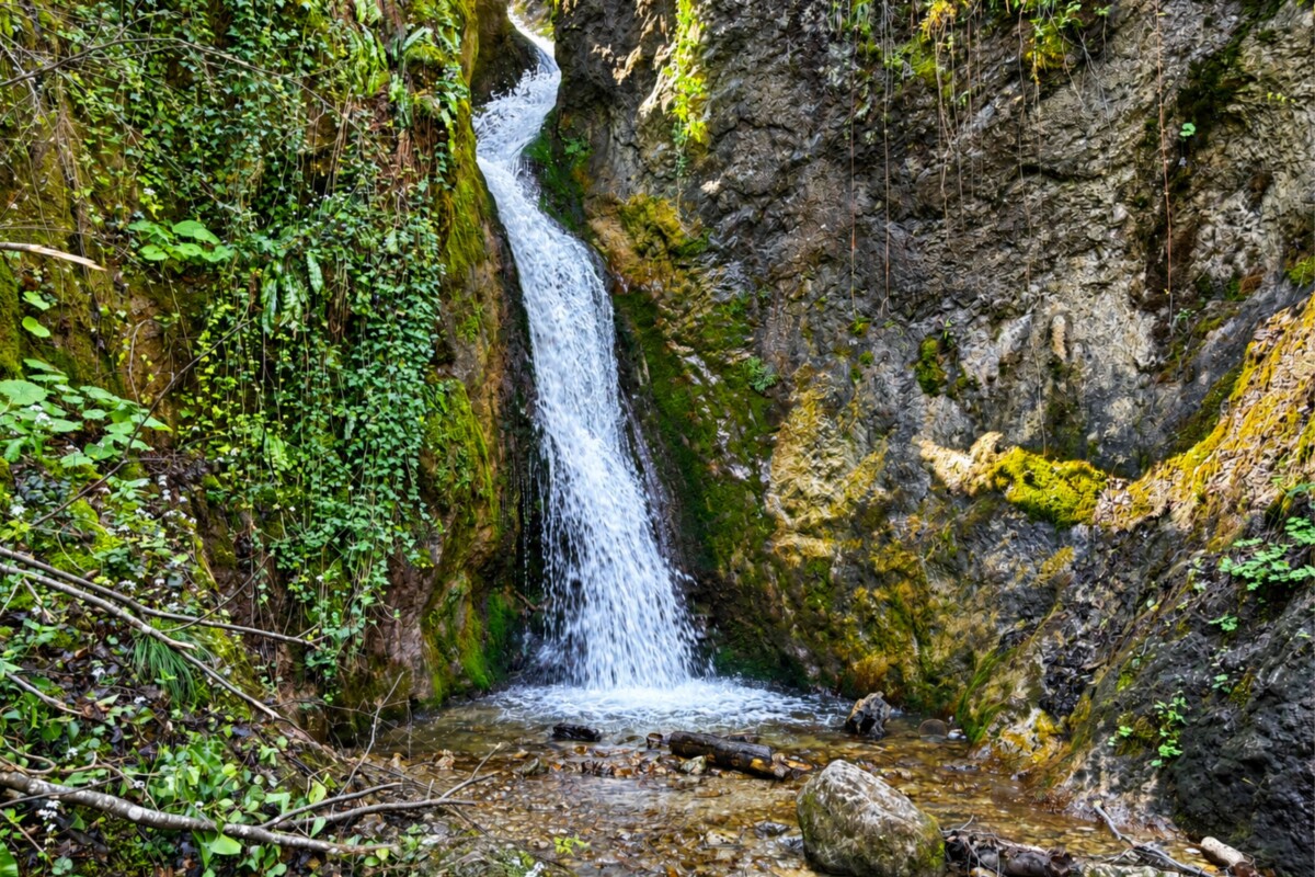 cerinski-vir-samoborsko-gorje