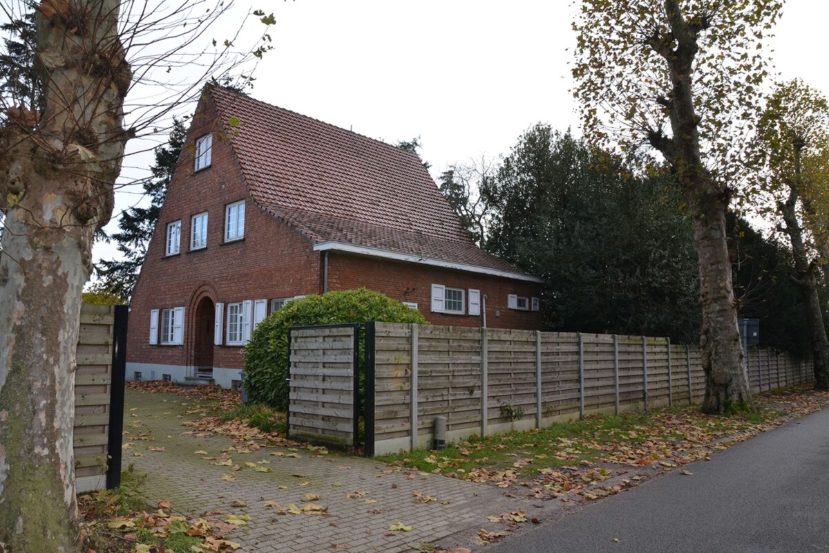 geel-belgija
