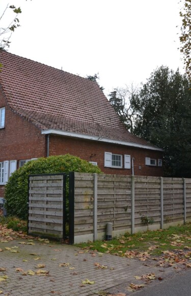 geel-belgija