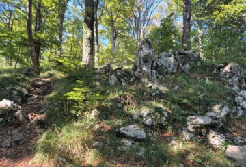 klek-staza