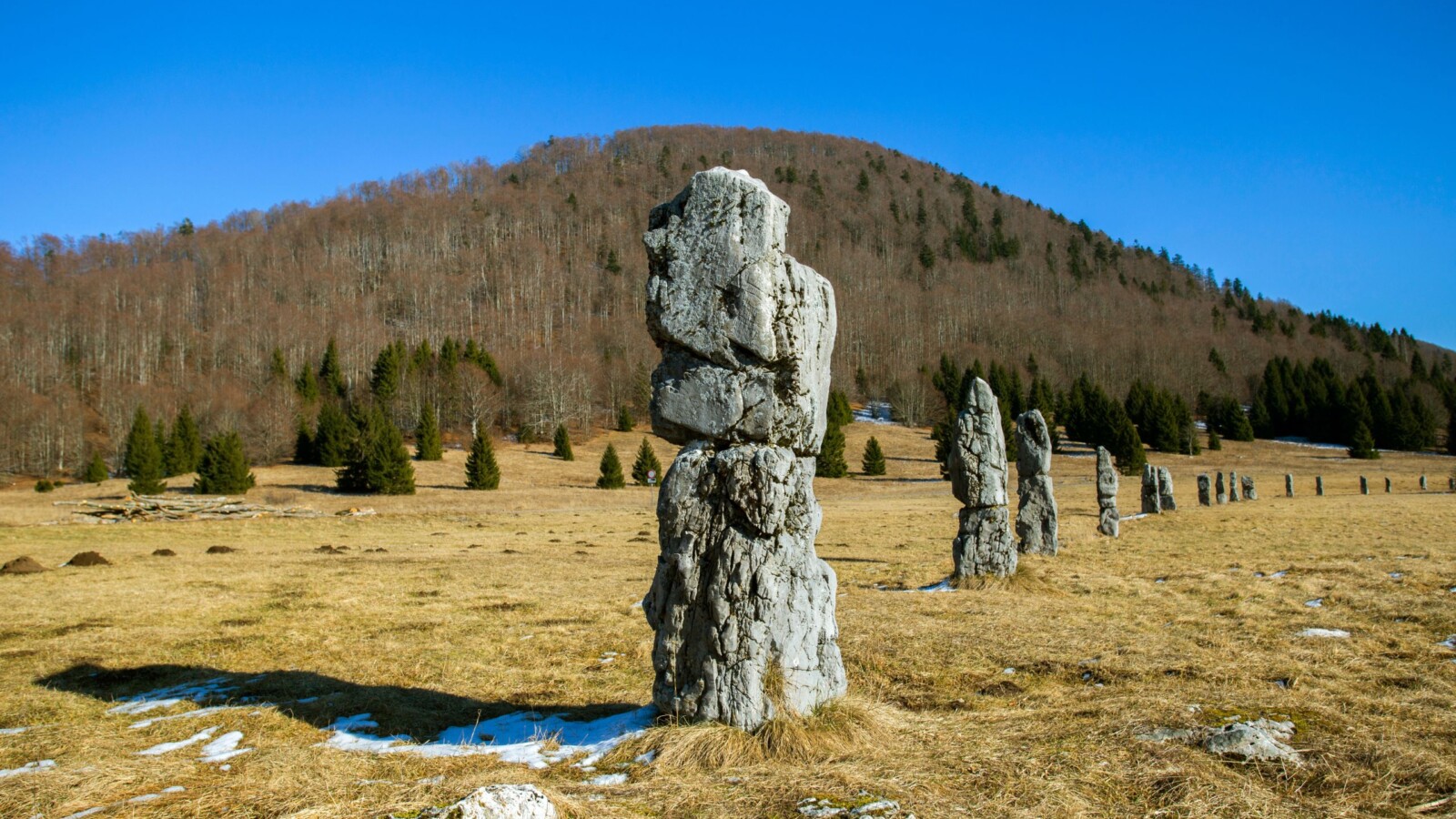 matic-poljana-bjelolasica