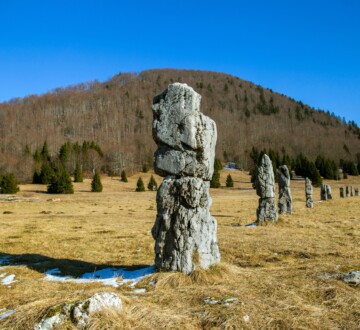 matic-poljana-bjelolasica