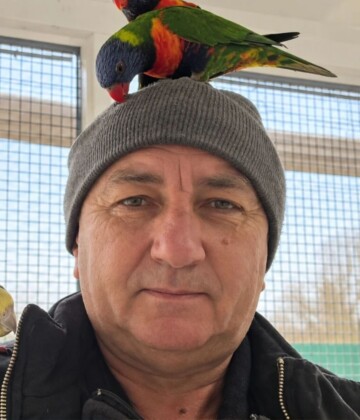 mirko