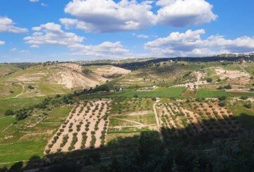 northern-highlands-jordan