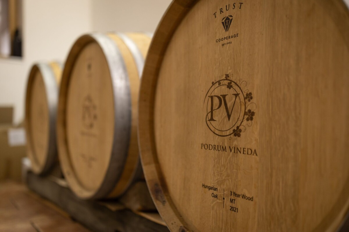podrum-vineda3