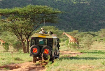 safari-afrika