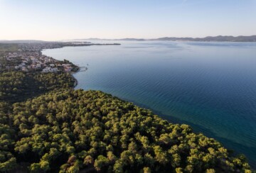suma-perustina-zadar-5