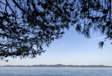šuma-peruština-zadar-6