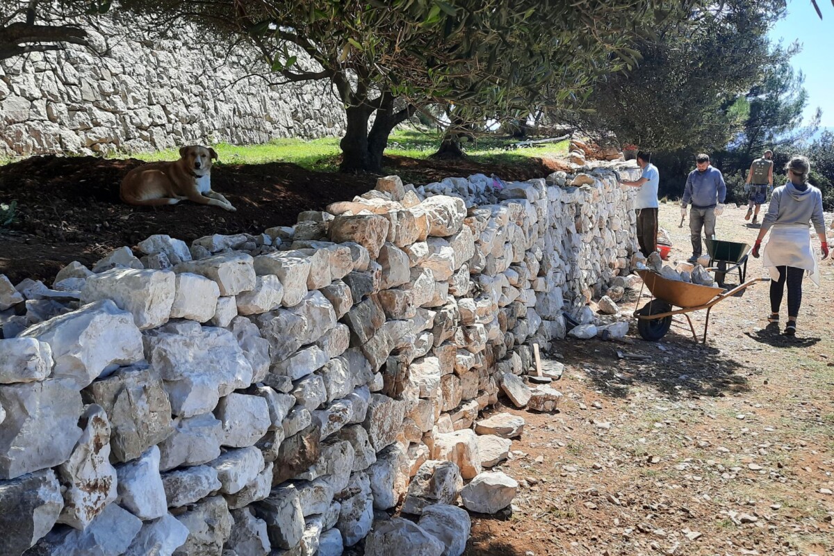 udruga-mljetske-koze-mljet-8