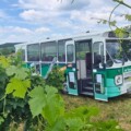 vinski-autobus-balaton