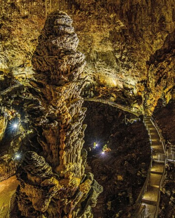 Grotta Gigante Italija2