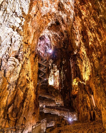Grotta Gigante Italija3