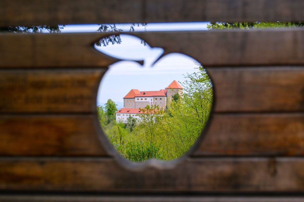 dvorac Podsreda Slovenija1