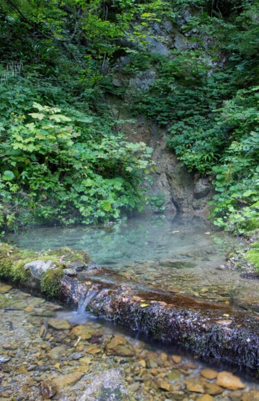 izvor-zaganjalka