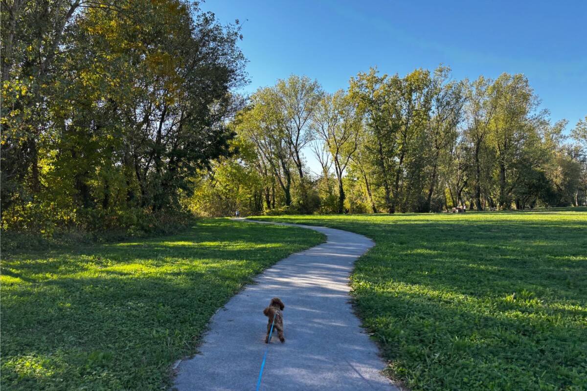 park-kupališni-put-zagreb-2