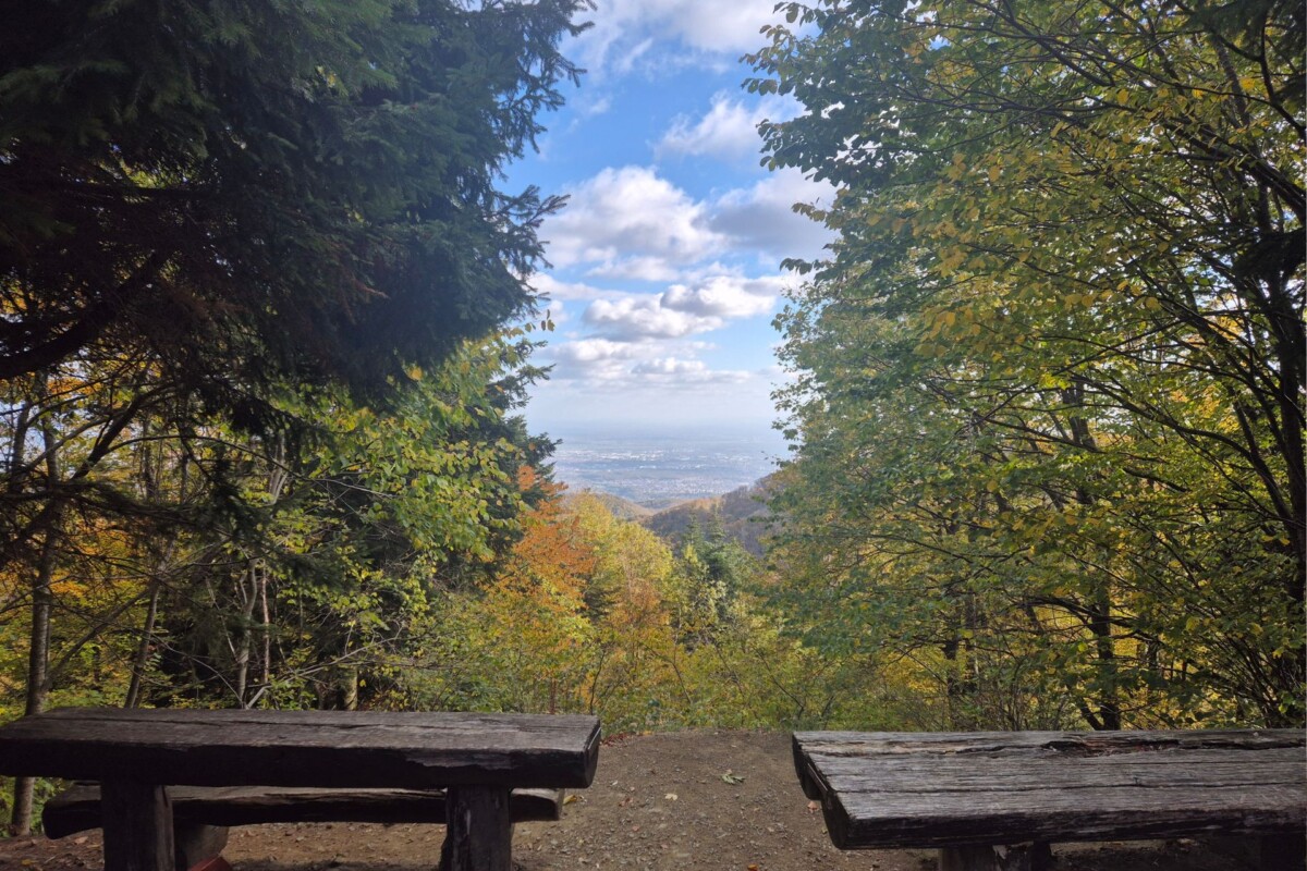 planinarski-dom-runolist-sljeme-pogled
