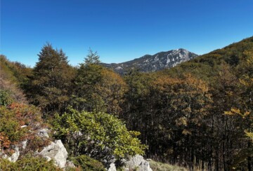 snježnik-uspon-na-snježnik-pogled-sa-staze