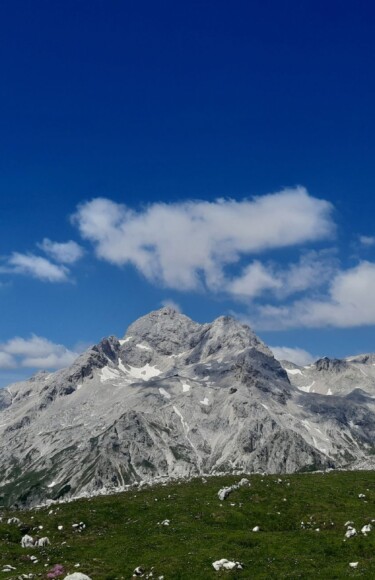 tosc-slovenija-10